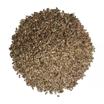 Flax Seed, Whole, 1 lb